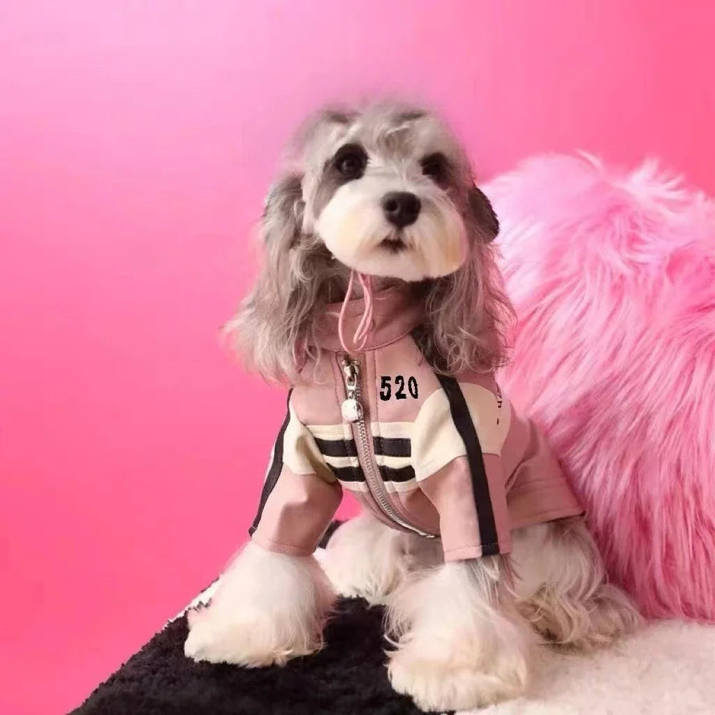 Pet Dog Jackets Winter Clothes Yorkshire Schnauzer Teddy Bear Dog Coat Puppy Clothes Designer Fashion Winter Puppy Clothing