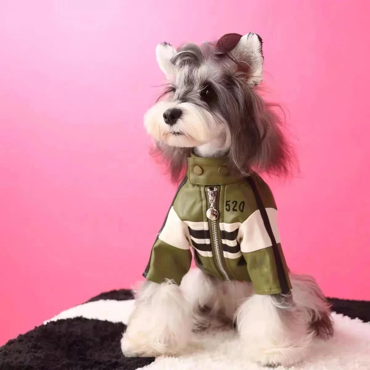 Pet Dog Jackets Winter Clothes Yorkshire Schnauzer Teddy Bear Dog Coat Puppy Clothes Designer Fashion Winter Puppy Clothing