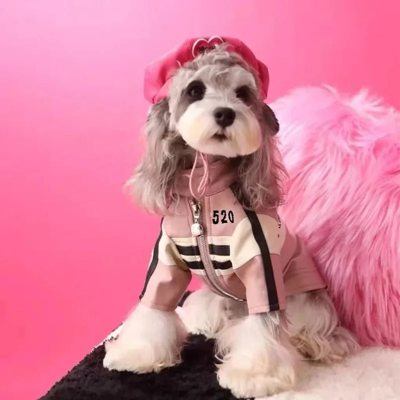 Pet Dog Jackets Winter Clothes Yorkshire Schnauzer Teddy Bear Dog Coat Puppy Clothes Designer Fashion Winter Puppy Clothing