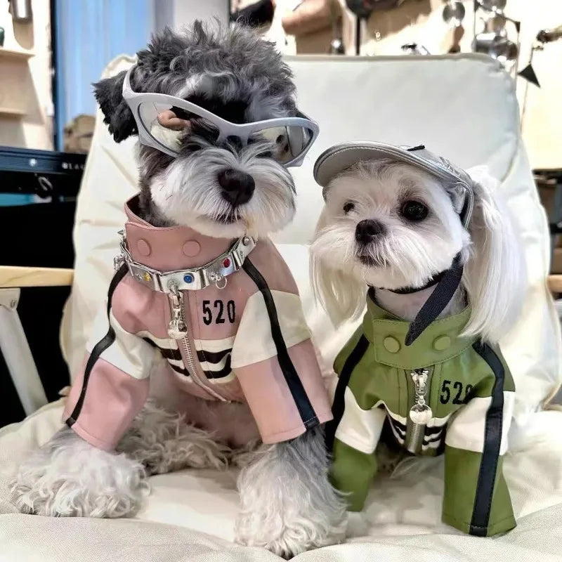 Pet Dog Jackets Winter Clothes Yorkshire Schnauzer Teddy Bear Dog Coat Puppy Clothes Designer Fashion Winter Puppy Clothing