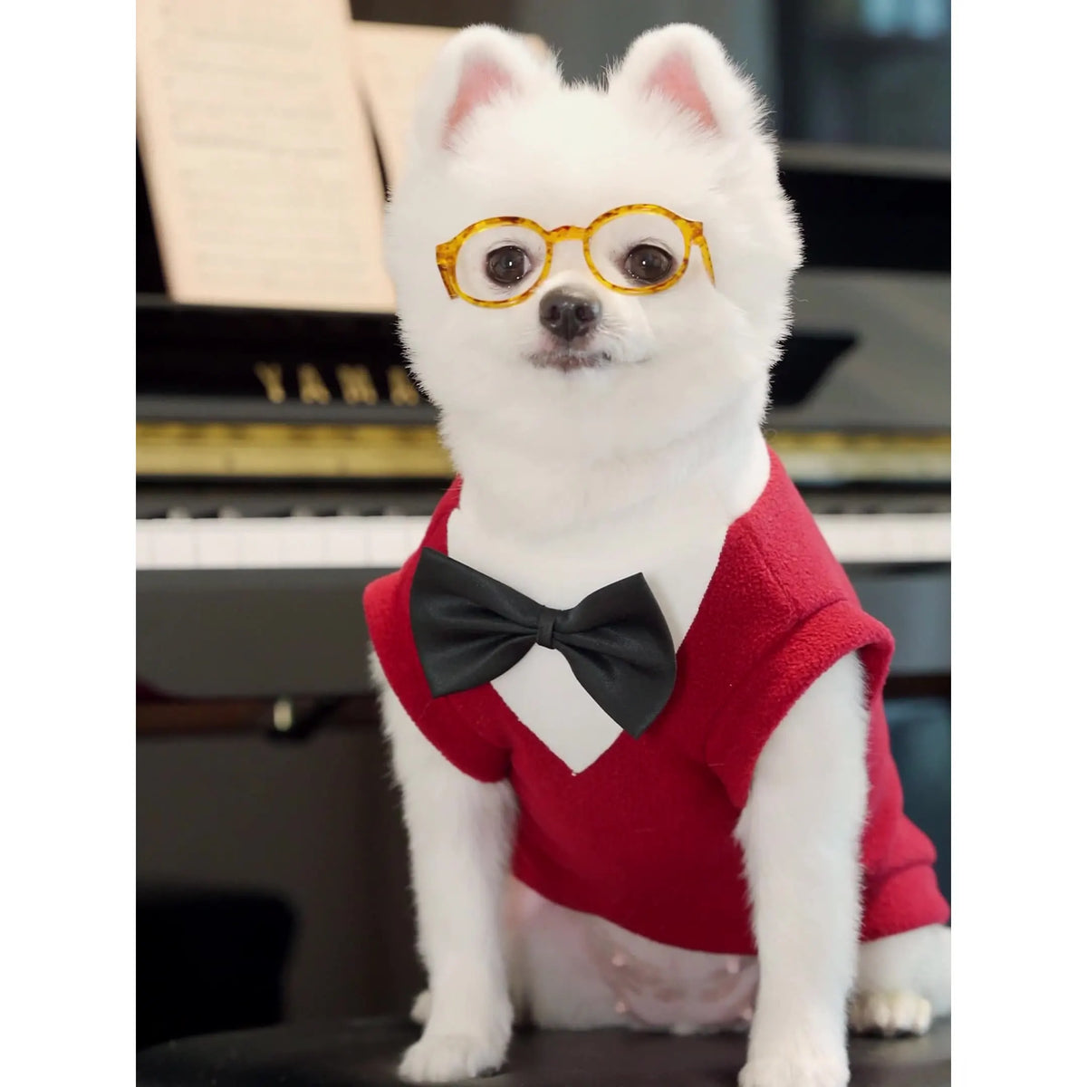 Dog Tuxedo Wedding Outfit Cute Puppy Suit with Bow Tie Formal Party Costume for Small Dogs Cats